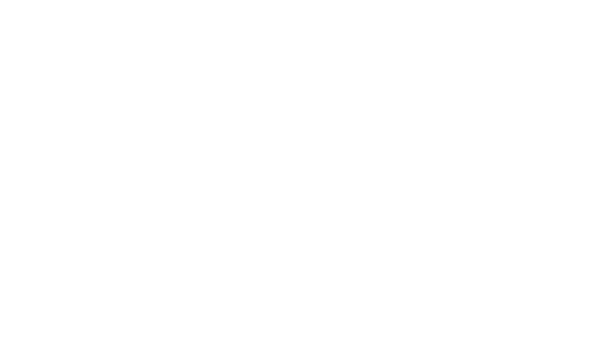 Business Boost Finland
