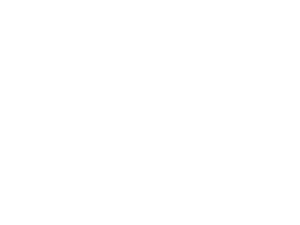 Leader